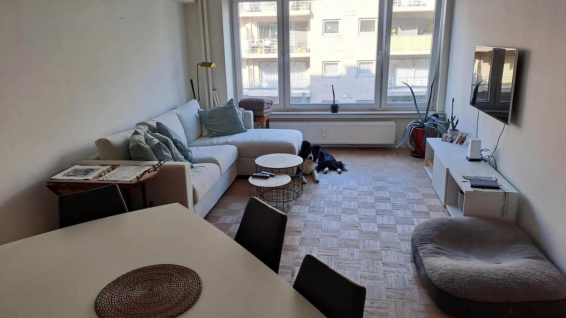 Mooi Appartement In Oud Berchem 安特卫普