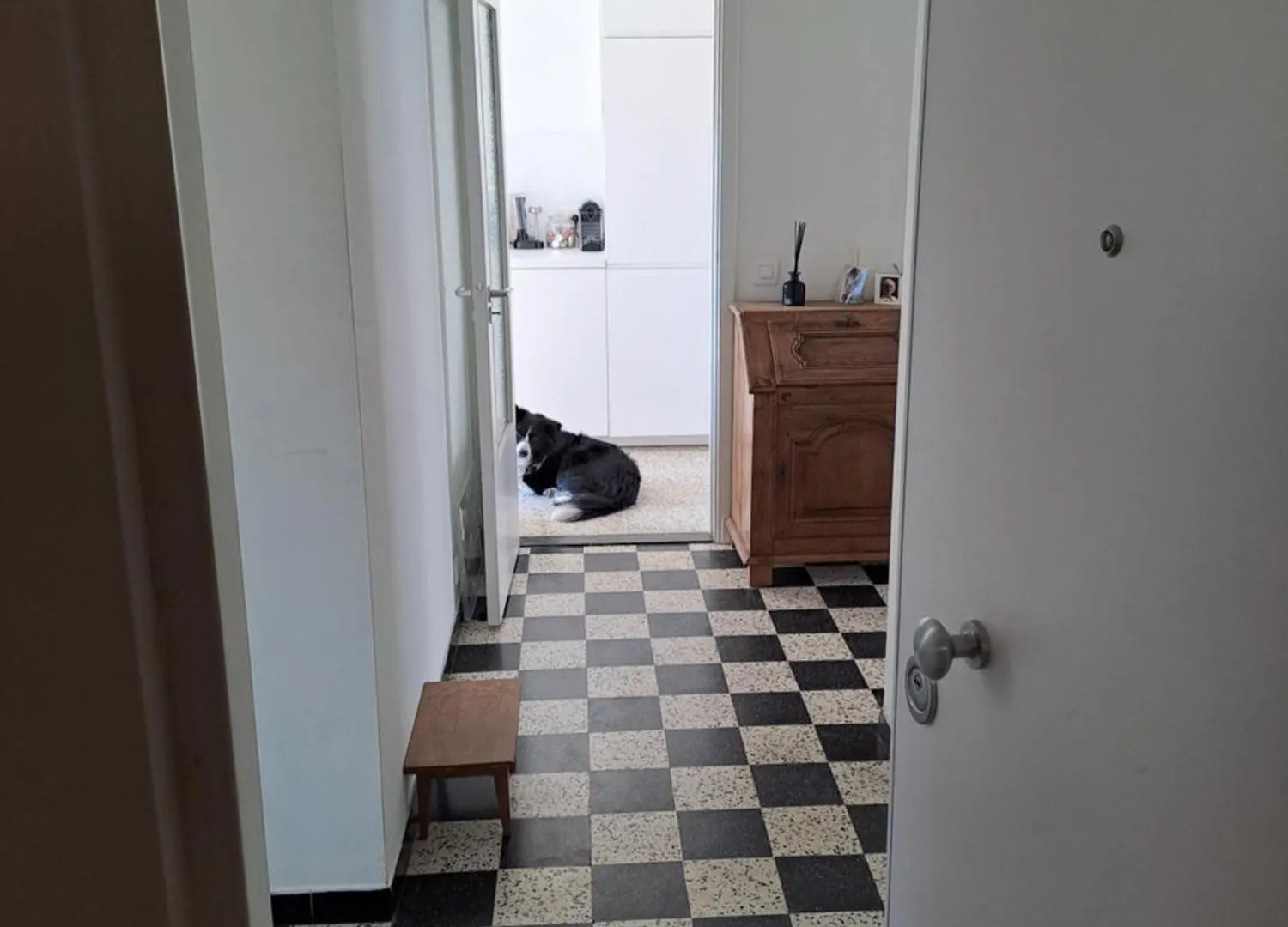 Mooi Appartement In Oud Berchem 安特卫普 公寓