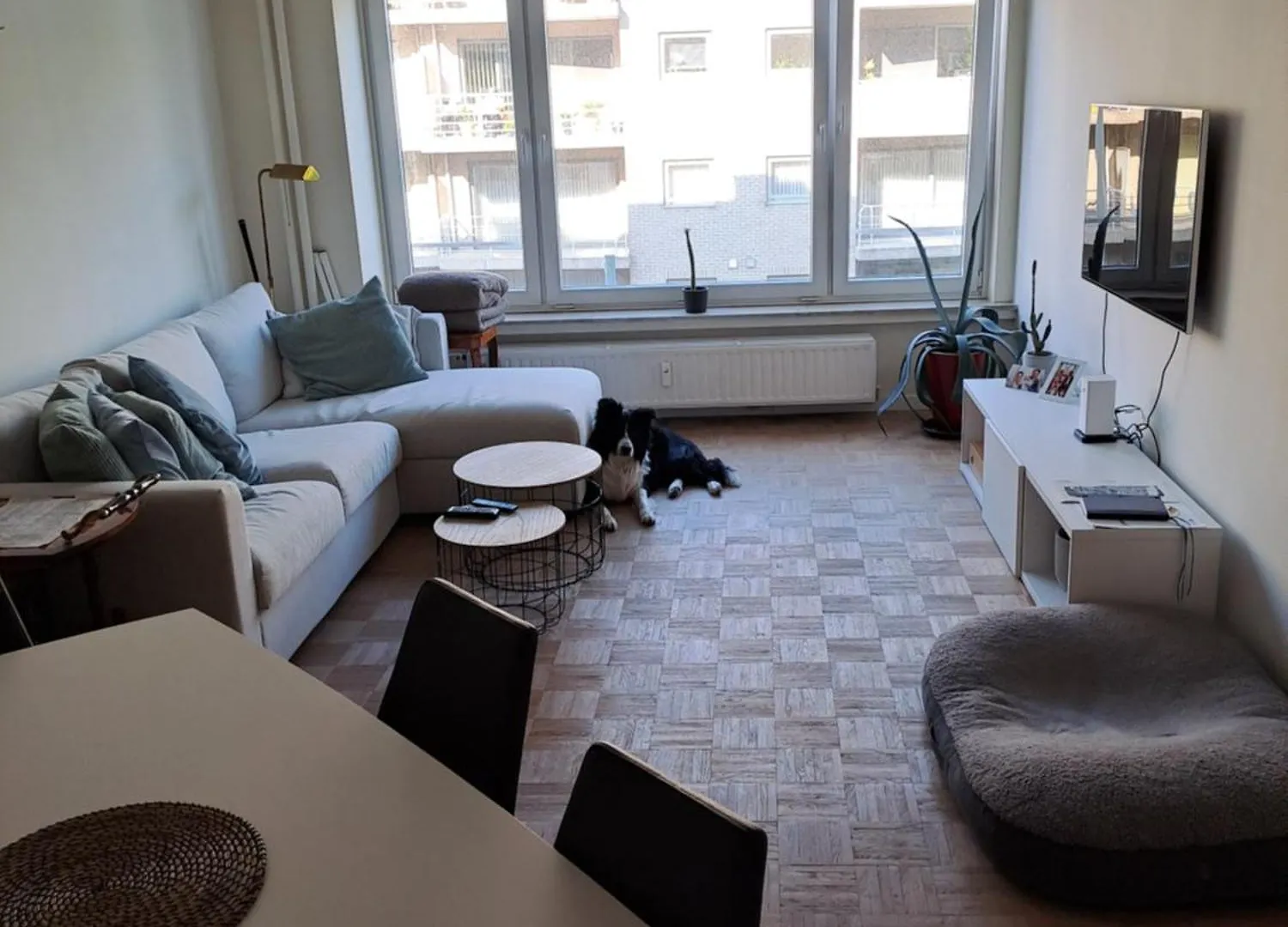 Mooi Appartement In Oud Berchem 安特卫普 0*,  比利时