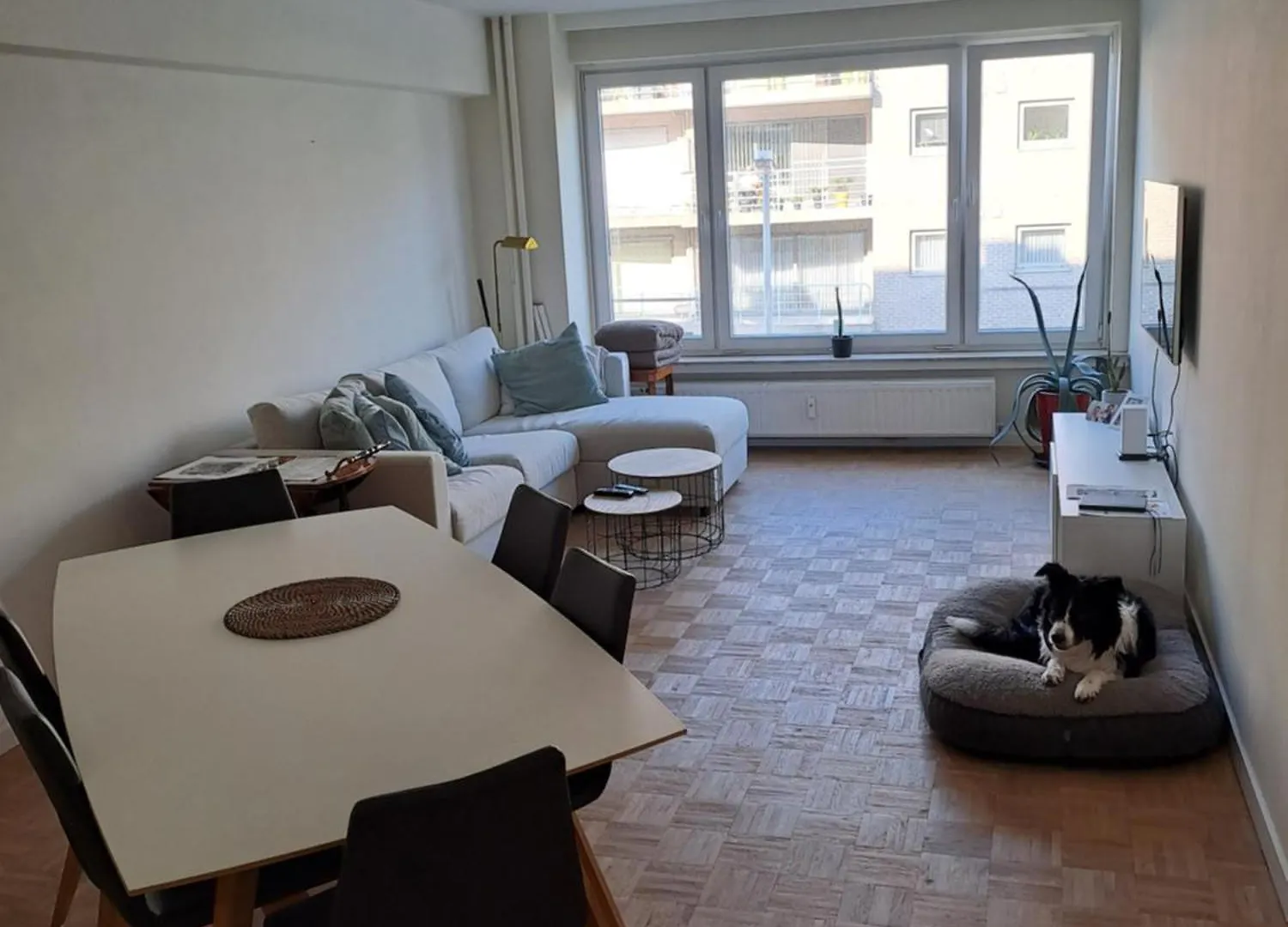 公寓 Mooi Appartement In Oud Berchem 安特卫普 比利时