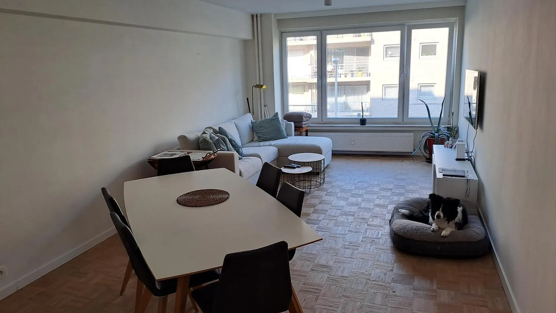 Mooi Appartement In Oud Berchem 安特卫普 比利时